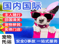 扎兰屯成吉思汗航空快运国际宠物托运 【国